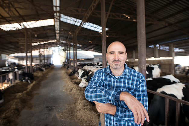Diary Farm Loans