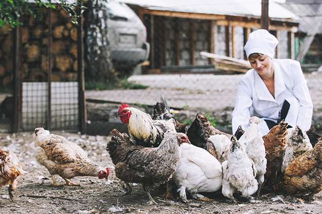 Poultry Farm Loans